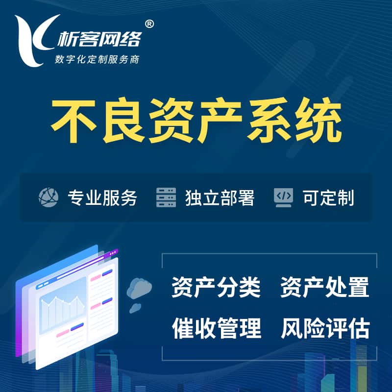池州不良资产管理系统