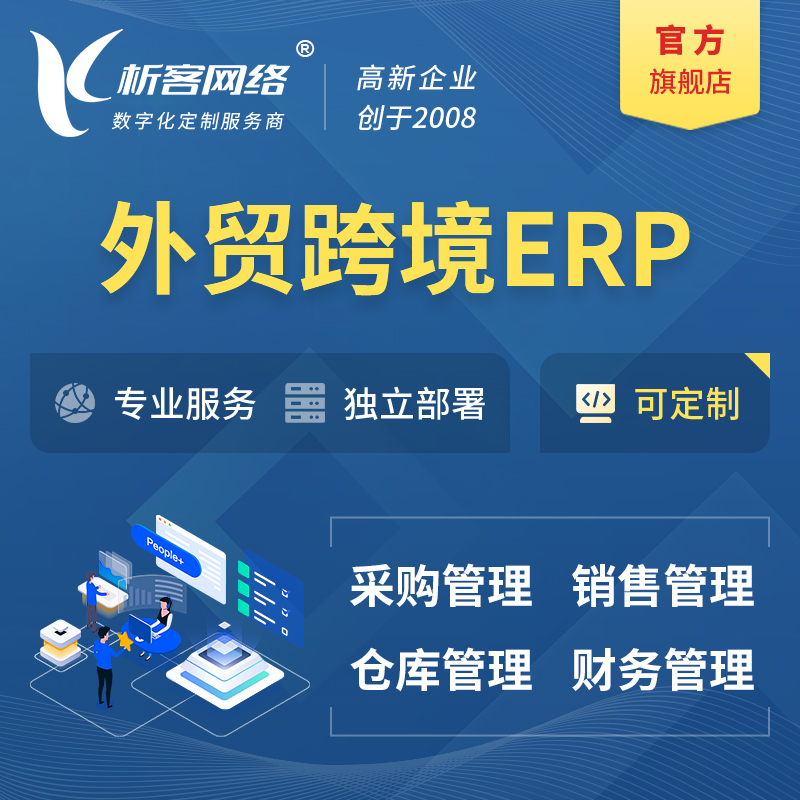 池州外贸跨境ERP软件生产海外仓ERP管理系统